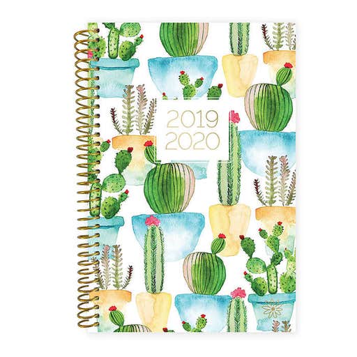 amazon.com, Bloom Daily Planners Academic Planner