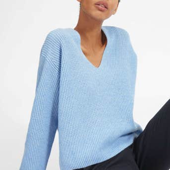 Everlane The Cashmere Rib V-Neck