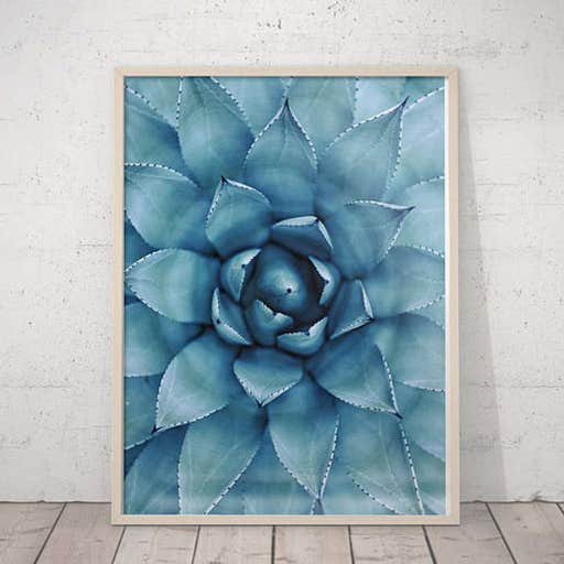 etsy.com, LilaPrints Succulent Print
