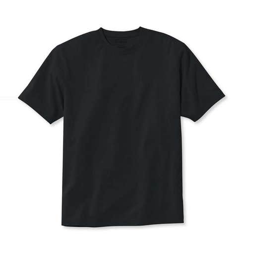 llbean.com, L.L. Bean Carefree Unshrinkable Tee