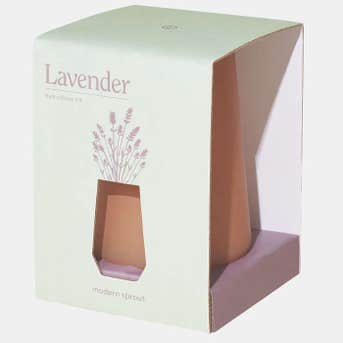 Modern Sprout Indoor Garden Kit