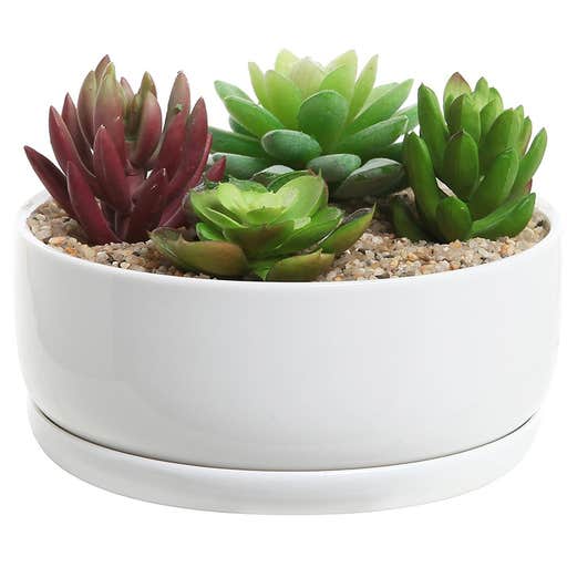 amazon.com, MyGift 6-Inch Modern White Ceramic Round Designer Succulent Planter