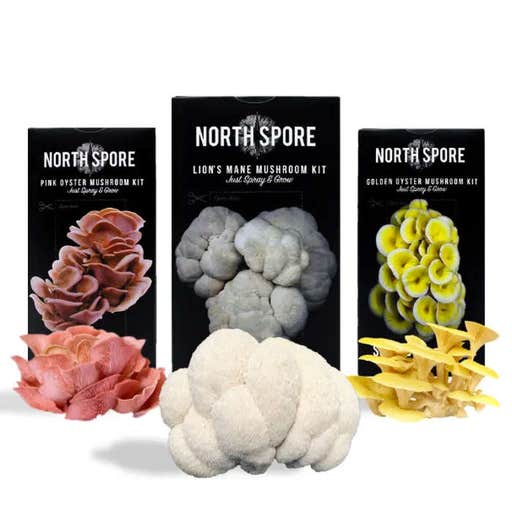 northspore.com, North Spore Spray & Grow Muschroom Growing Kit