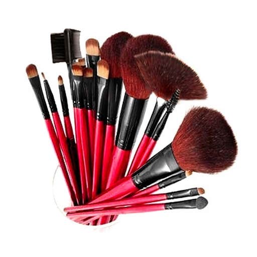 amazon.com, SHANY Professional 13-Piece Cosmetic Brush Set with Pouch