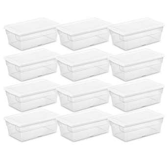 Sterilite Storage Box