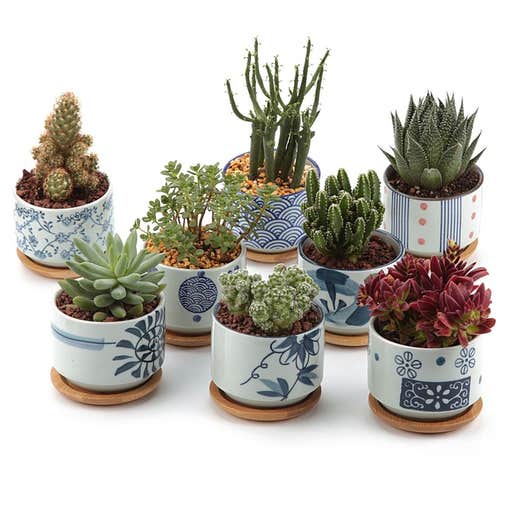 amazon.com, T4U 3-Inch Japanese Style Ceramic Planters