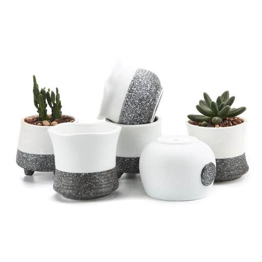 amazon.com, T4U Ceramic Korae Style Snow Planters