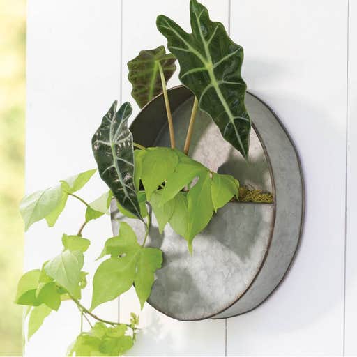 target.com, Threshold 10-Inch Round Galvanized Wall Planter