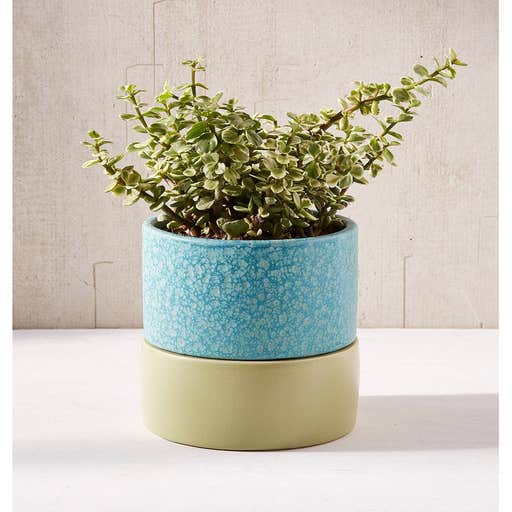 urbanoutfitters.com, Urban Outfitters 6-Inch Planter and Drainage Tray Set