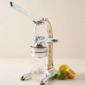Verve Culture Juicer