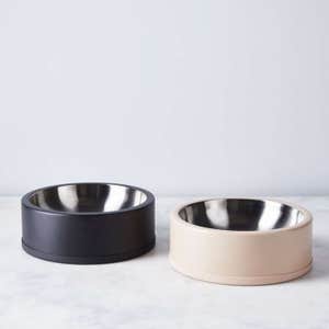 Wild One Modern Stainless Steel Dog Bowl