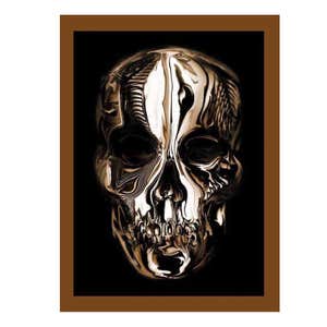 Andrew Bolton Alexander McQueen: Savage Beauty