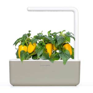 Click & Grow Smart Garden 3 Self Watering Indoor Garden
