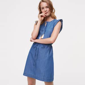 Loft Chambray Flutter Dress