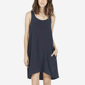 Everlane The Silk Tank Dress