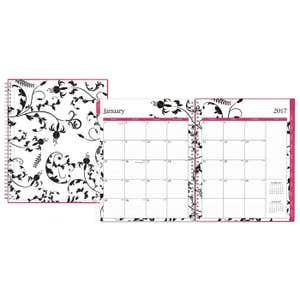 Blue Sky 2017 Weekly & Monthly Planner