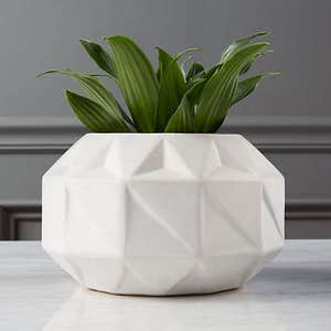 CB2 Bennie Low Vase-Planter