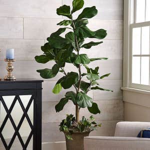 Valerie 5' Faux Fiddle Leaf Tree In Starter Pot
